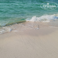 фото из отзыва ID 2569529