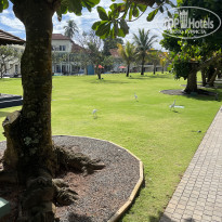 фото из отзыва ID 2569588