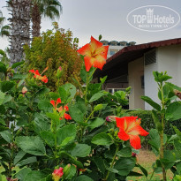 фото из отзыва ID 2569610