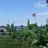 фото из отзыва ID 2569625