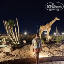 фото из отзыва ID 2567135