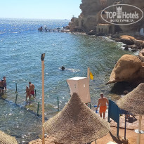 фото из отзыва ID 2567135