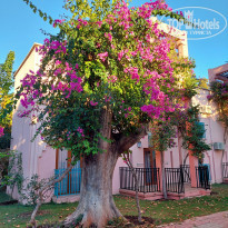 фото из отзыва ID 2569679