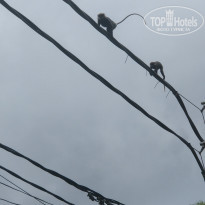 фото из отзыва ID 2569739