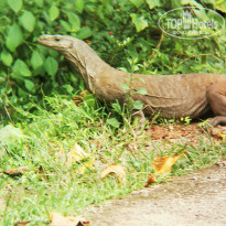 фото из отзыва ID 2569834