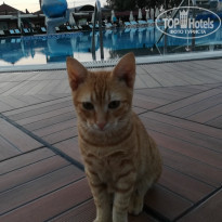 фото из отзыва ID 2569824