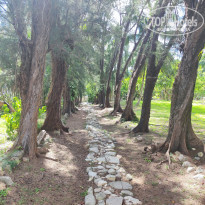 фото из отзыва ID 2564574