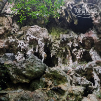 фото из отзыва ID 2565741