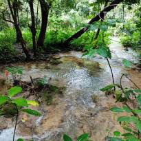 фото из отзыва ID 2565741