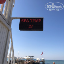 фото из отзыва ID 2566082