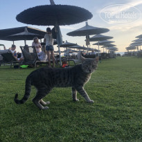 фото из отзыва ID 2566082