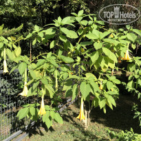 фото из отзыва ID 2566082