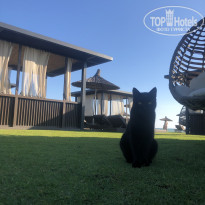 фото из отзыва ID 2566082