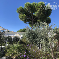 фото из отзыва ID 2566082