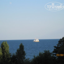 фото из отзыва ID 257092