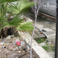 фото из отзыва ID 257566