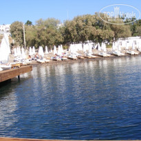 фото из отзыва ID 257575