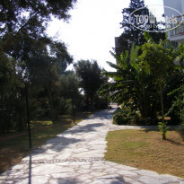 фото из отзыва ID 257575