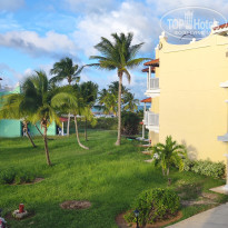 фото из отзыва ID 2570074