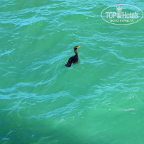 фото из отзыва ID 2570074