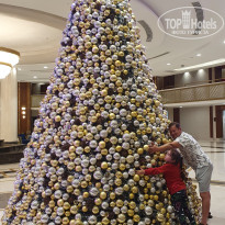 фото из отзыва ID 2570101