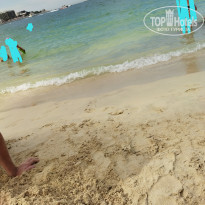 фото из отзыва ID 2570121