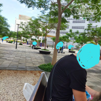 фото из отзыва ID 2570121