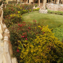 фото из отзыва ID 2570203