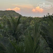 фото из отзыва ID 2570128