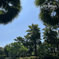 фото из отзыва ID 2570128