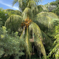 фото из отзыва ID 2570242