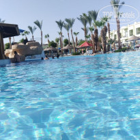 фото из отзыва ID 2570280