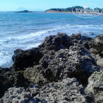 фото из отзыва ID 2570333