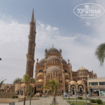 фото из отзыва ID 2570355