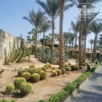 фото из отзыва ID 2570355