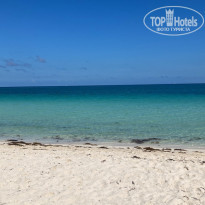 фото из отзыва ID 2570621