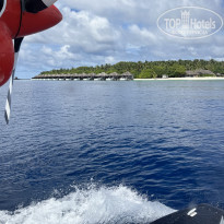 фото из отзыва ID 2570648