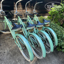 фото из отзыва ID 2570648