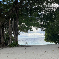 фото из отзыва ID 2570648