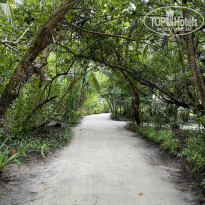 фото из отзыва ID 2570648