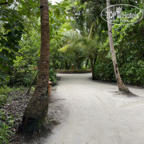 фото из отзыва ID 2570648