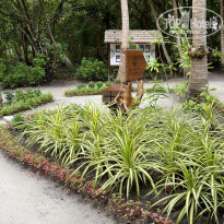 фото из отзыва ID 2570648