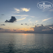 фото из отзыва ID 2570648