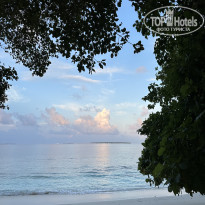 фото из отзыва ID 2570648