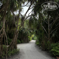 фото из отзыва ID 2570648