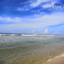 фото из отзыва ID 2570649