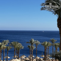 фото из отзыва ID 2570678