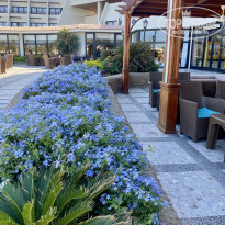 фото из отзыва ID 2570713