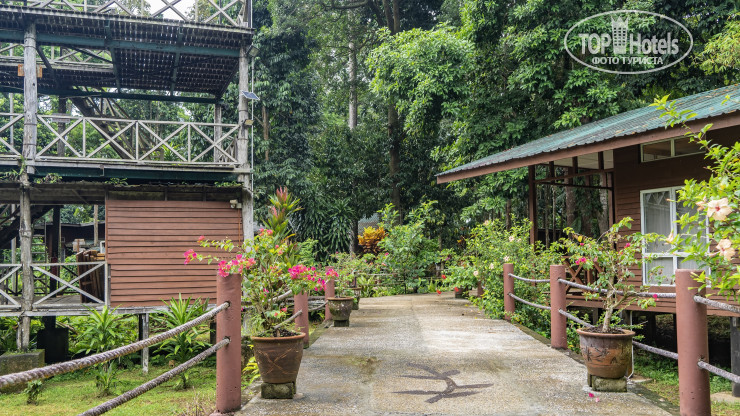 Hotelier's photos Borneo Nature Lodge 2*