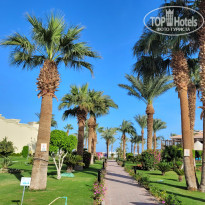 фото из отзыва ID 2570786